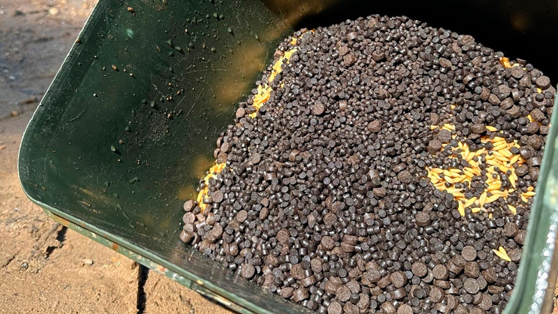 Зачем нужен разный размер пеллетса и как его применять на рыбалке?