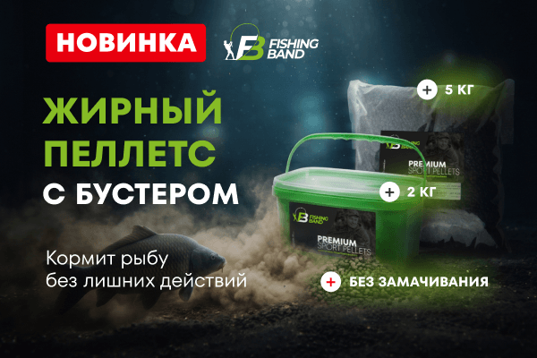 Новинка: жирный пеллетс, пропитанный бустером. Кормит рыбу без лишних действий