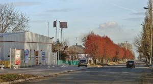 Рыболовный магазин 