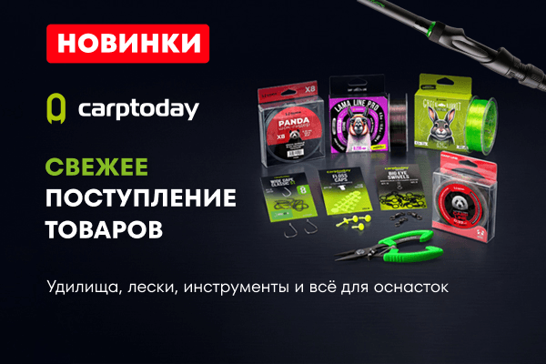 Новинки от Carptoday